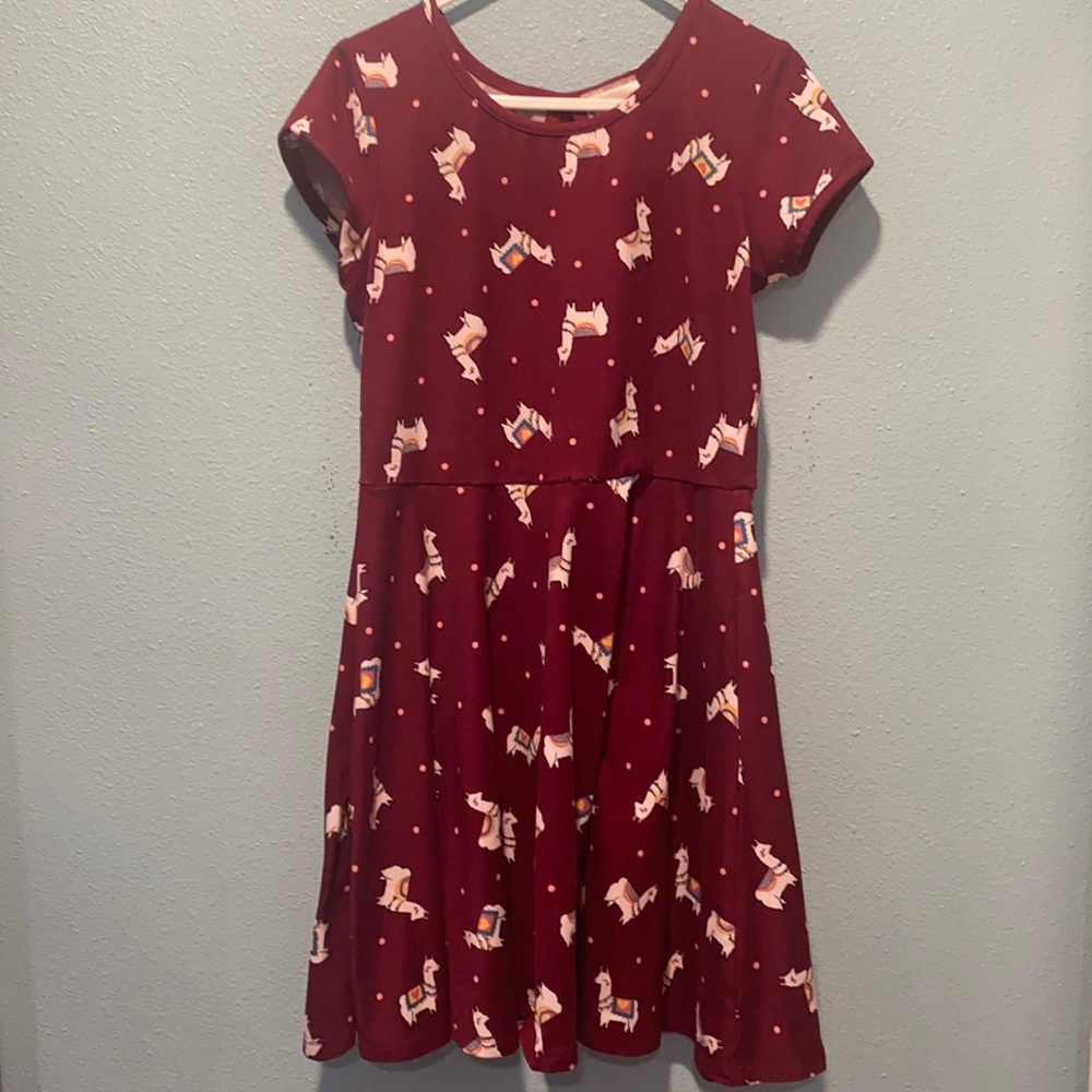 Jenna and Jessie Lama dress